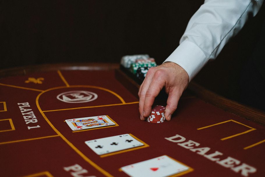 https://cat-casinono.com